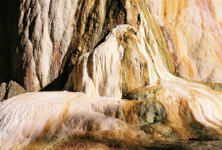 [Orange Spring Mound lower buildup.]